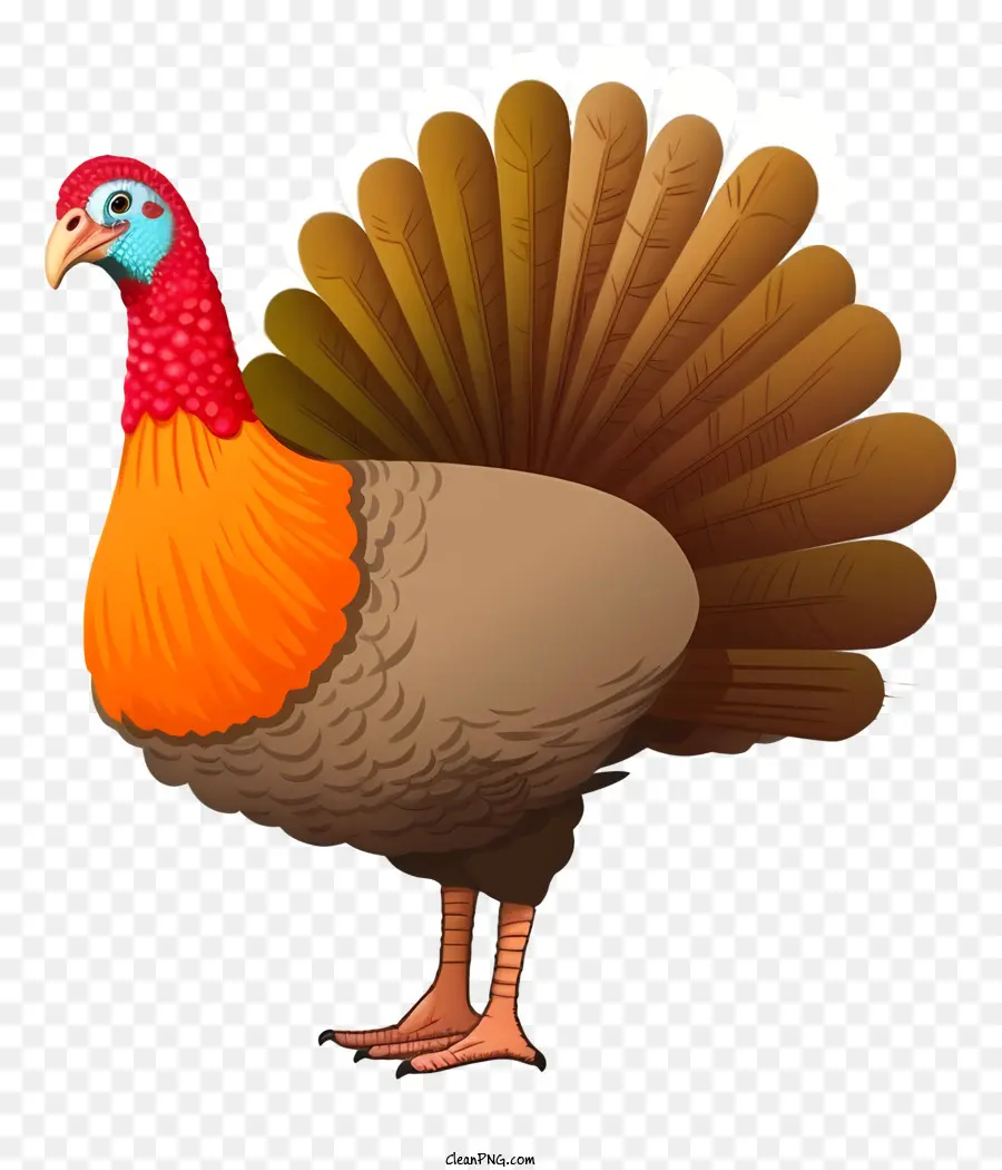 A Turquia，Pássaro Grande PNG