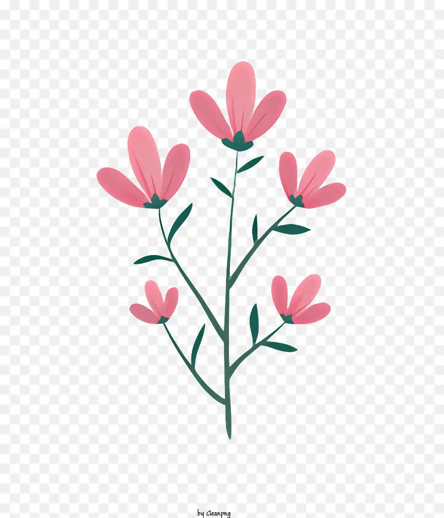 Flor Rosa，Bloom único PNG