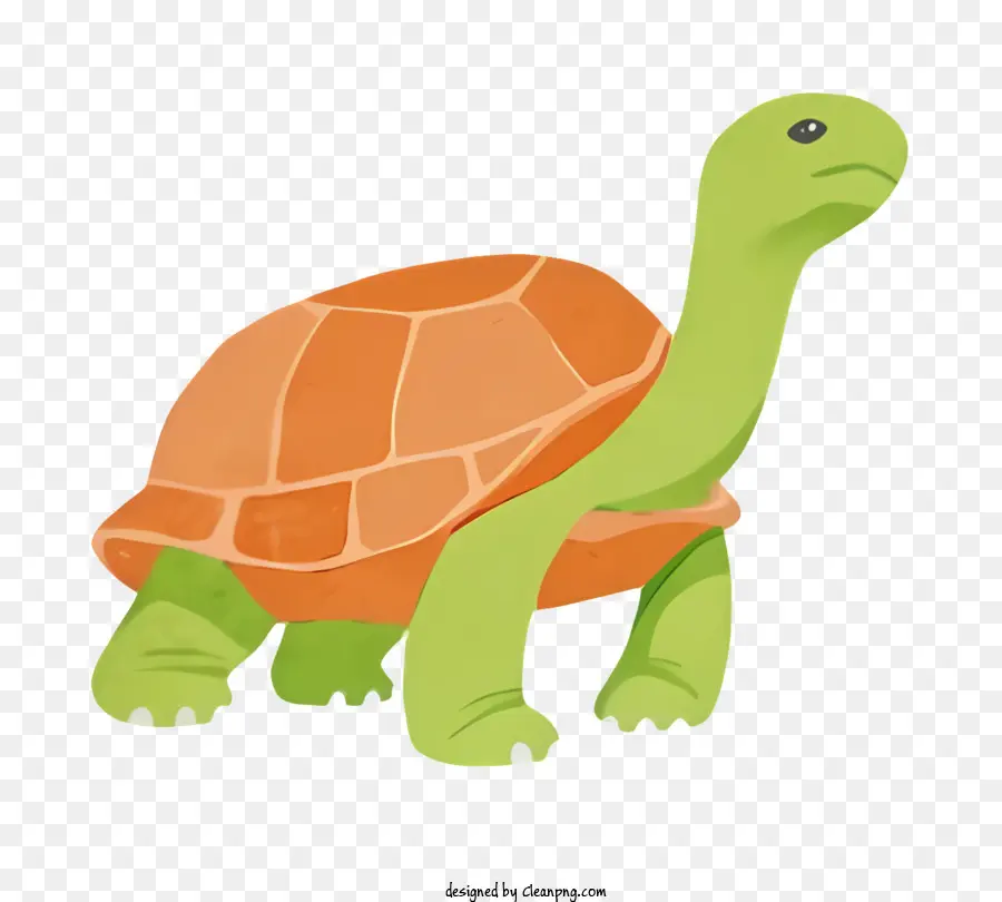 Turtle，Cabeça Grande PNG