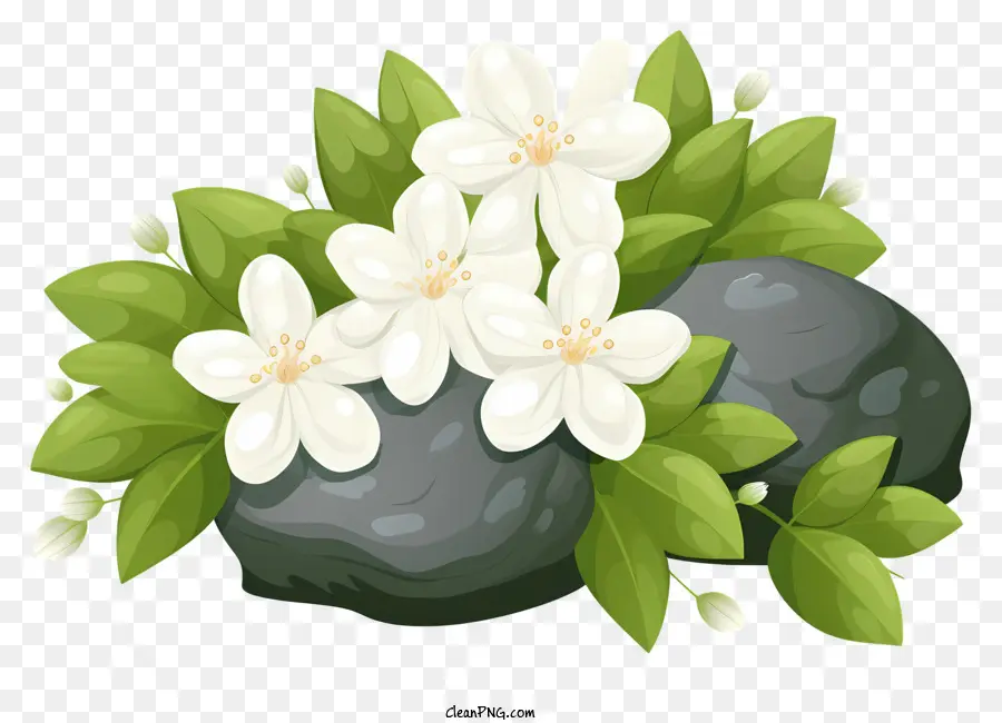 Flores Brancas，Folhas Verdes PNG