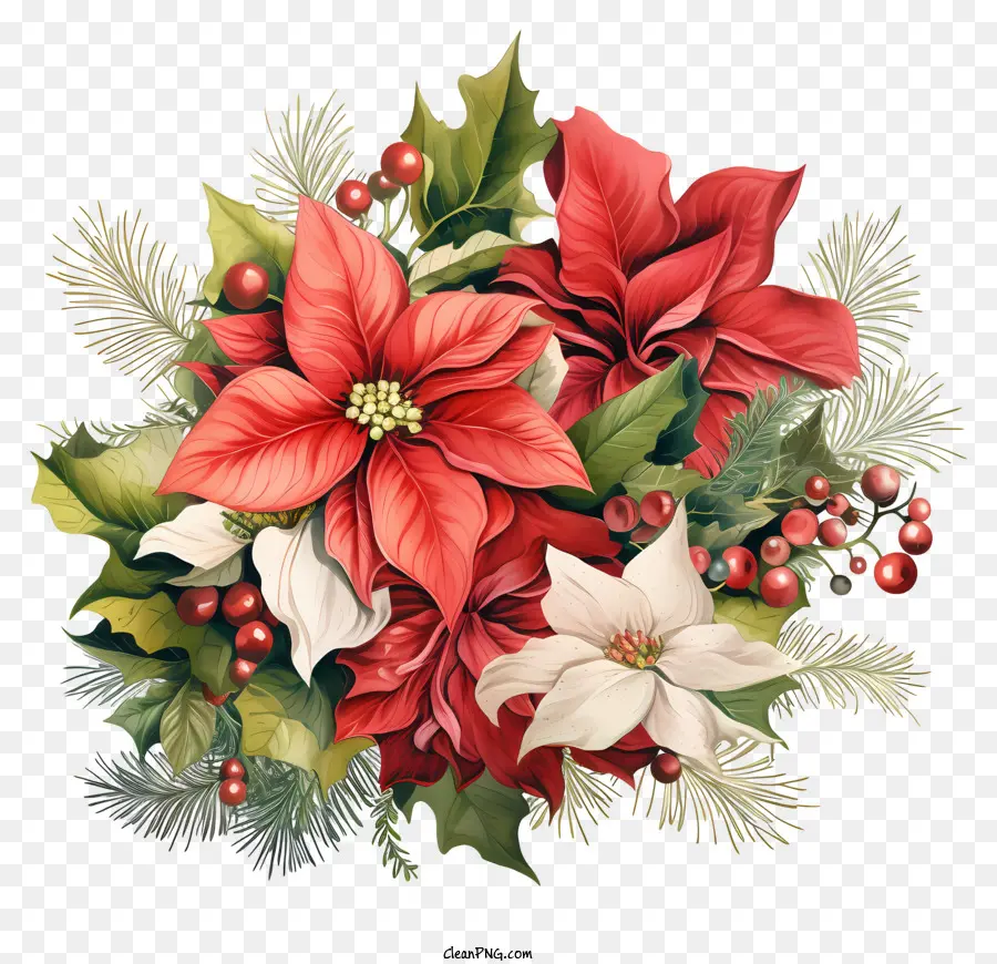 Poinsettias，Buquê PNG