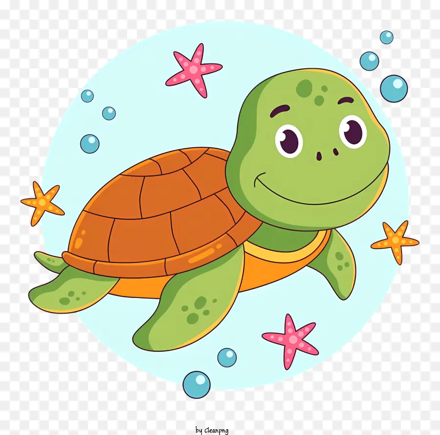 Turtle，água Clara PNG
