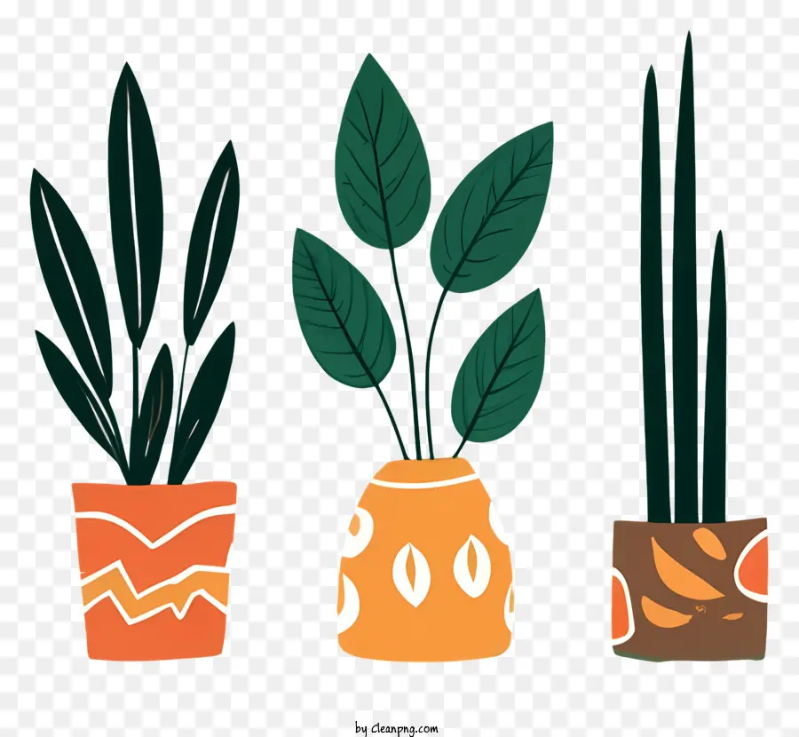Vasos De Plantas，Plantas Em Um Fundo Preto PNG