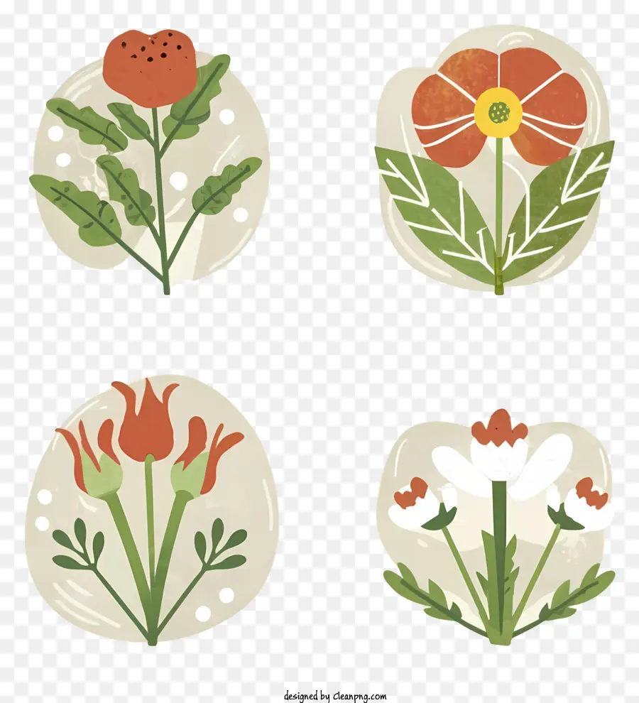 Ilustrações Botânicas，Flores PNG