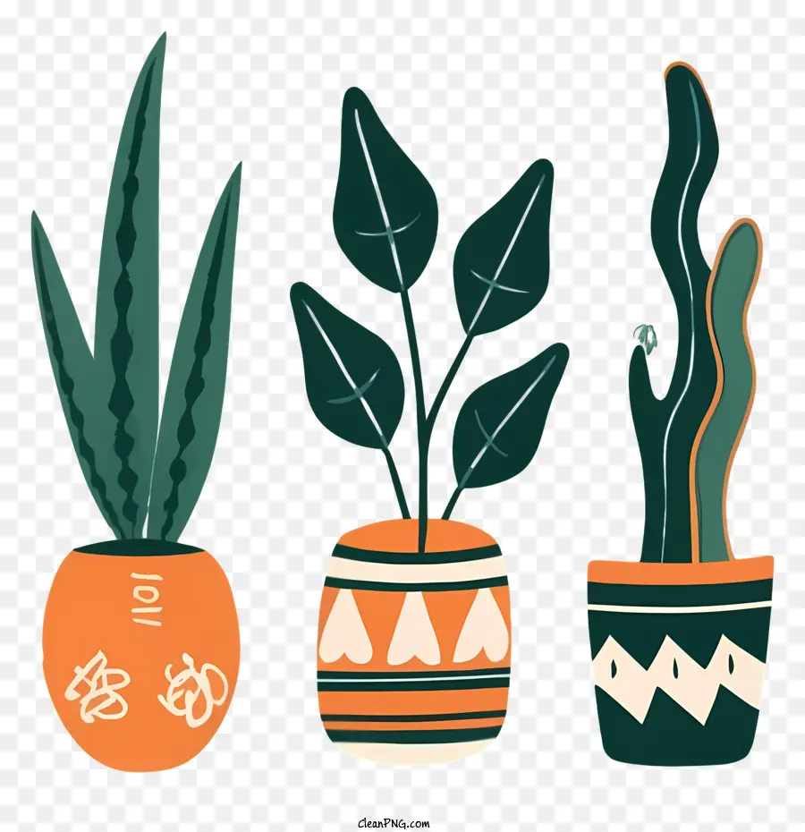 Trio De Plantas，Plantas Em Vasos PNG