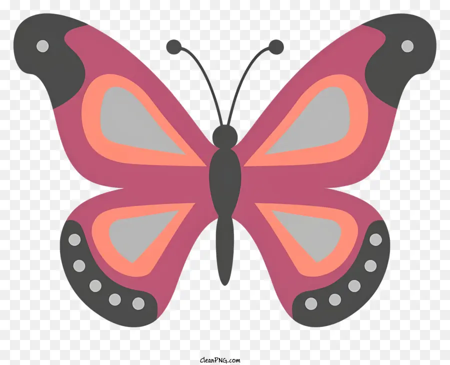 Borboleta Cor De Rosa，Butterfly De Blackspout PNG