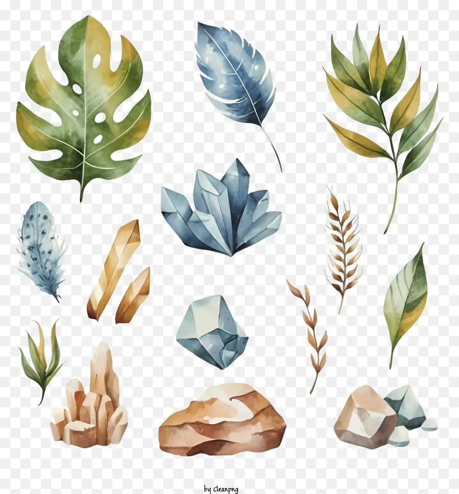 Ilustração Em Aquarela，Plantas PNG