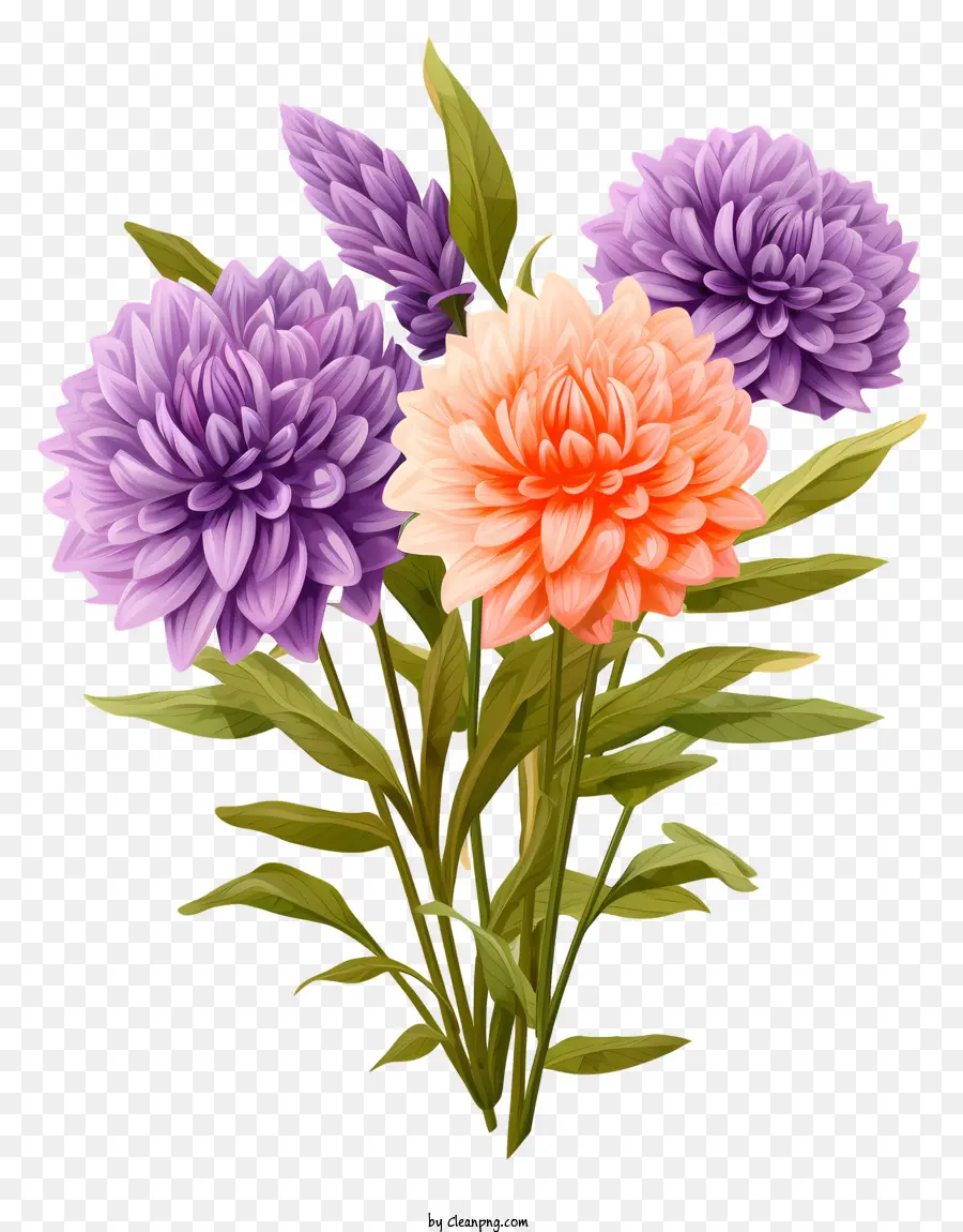 Flores De Crisântemo，Arranjo Floral PNG