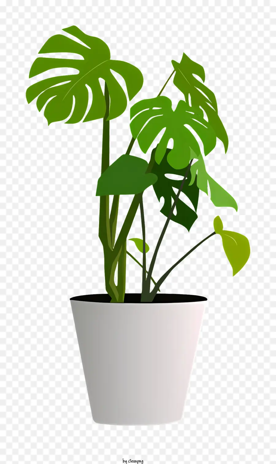 Planta De Vaso，Folhas Verdes PNG