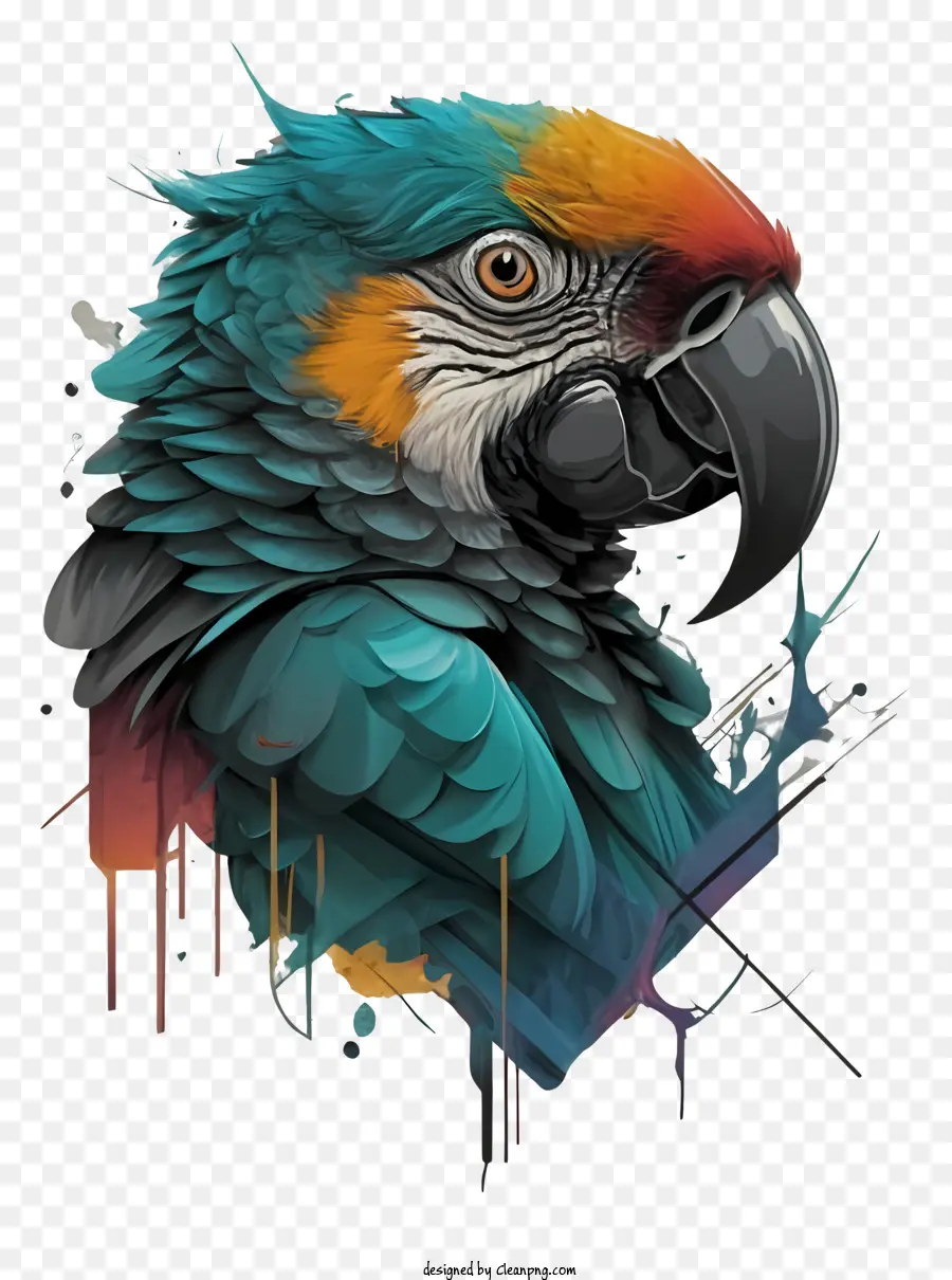 Parrot Colorido，Laranja Brilhante PNG