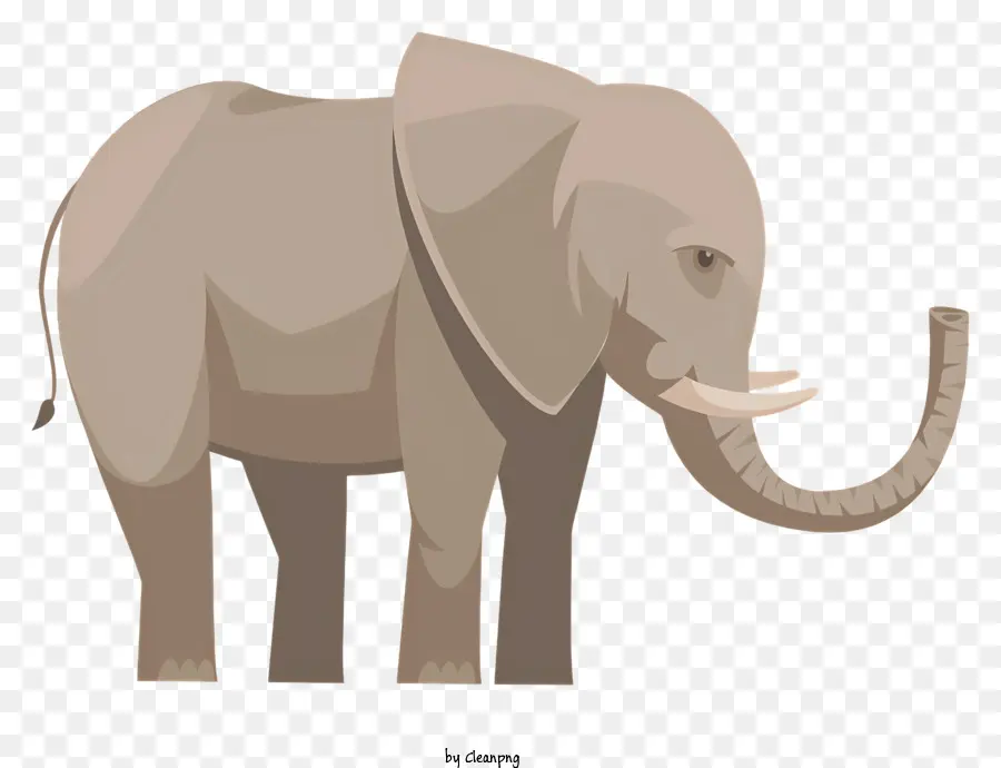 Elefante，Cinzento PNG