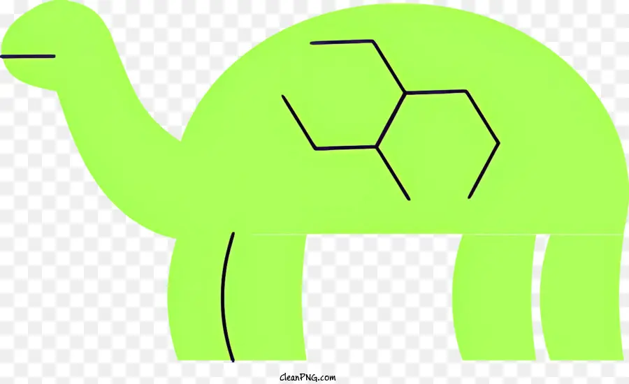 Cartoon Tartaruga，Turtle PNG