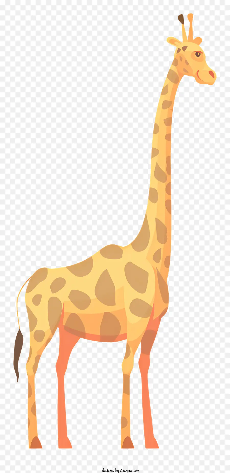 Girafa，Pernas Longas PNG