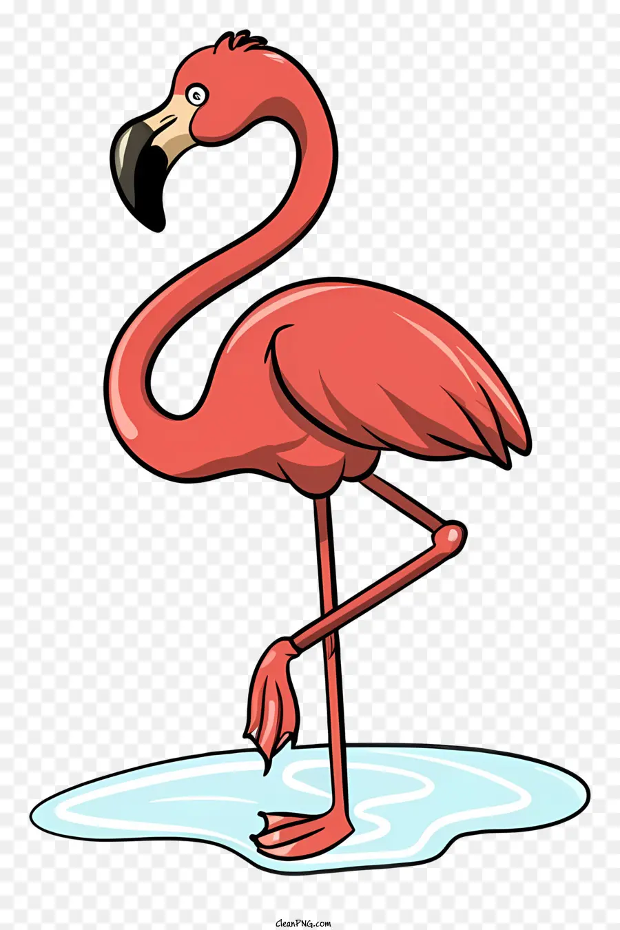 Cor De Rosa Flamingo，Penas Pretas PNG