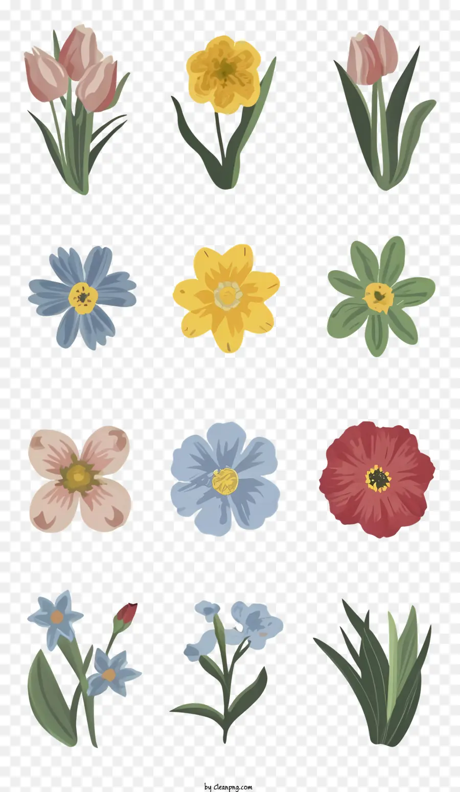 Flores Coloridas，Arranjo Floral PNG