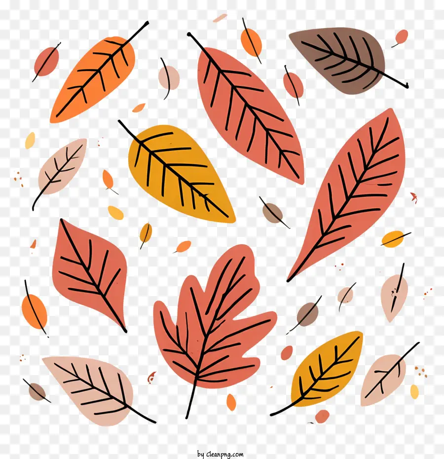 Autumn Leaves，Folhas De Outono PNG