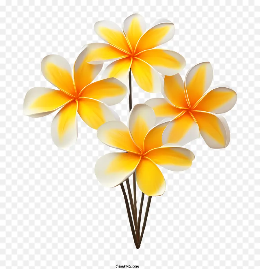 Plumeria Flor，Amarelo PNG