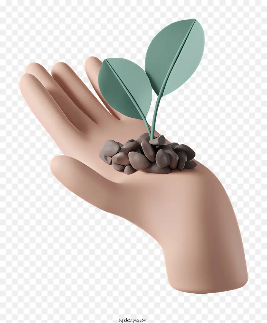 Mão E Planta，Pequena Planta PNG