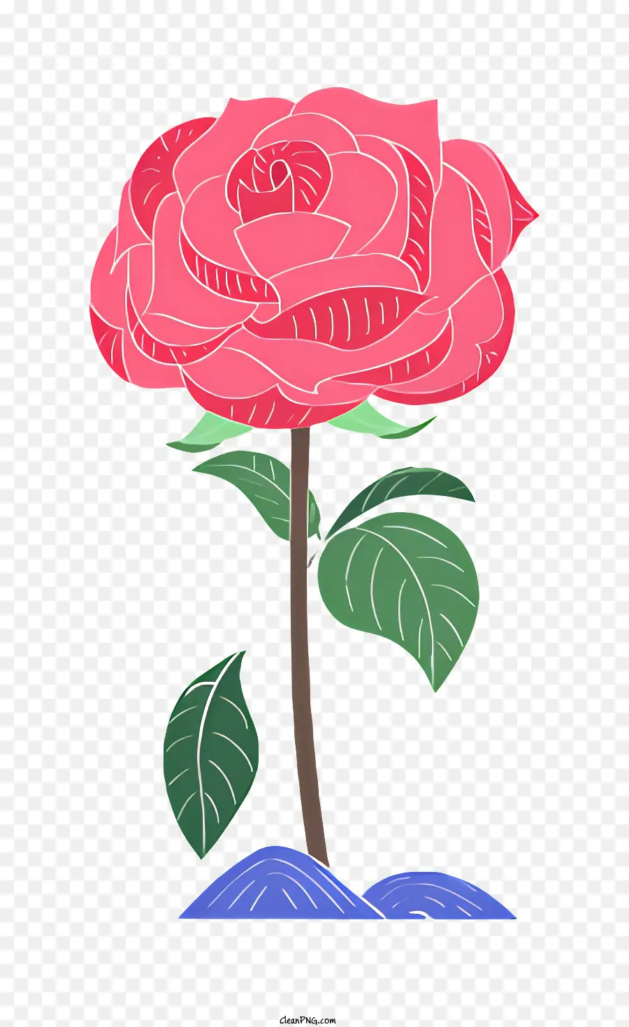 Rosa Cor De Rosa，Folhas Verdes PNG