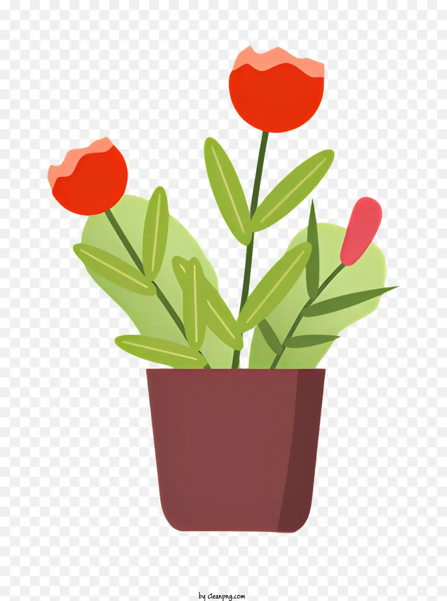 Planta Em Vaso，Flores Vermelhas PNG