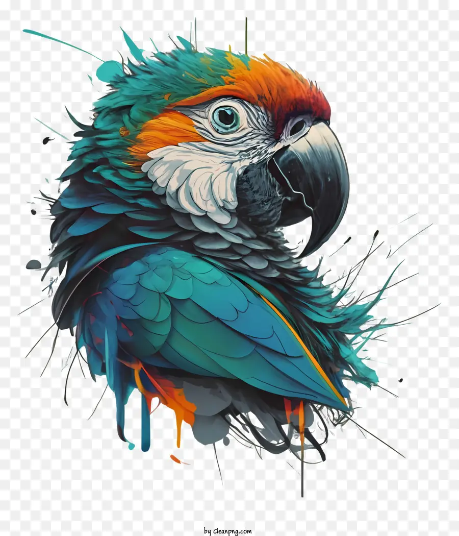Papagaio，Cores Vibrantes PNG