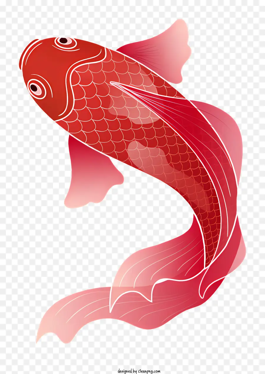 Peixe De Carpa Vermelha，Peixe Em Forma De Coração PNG