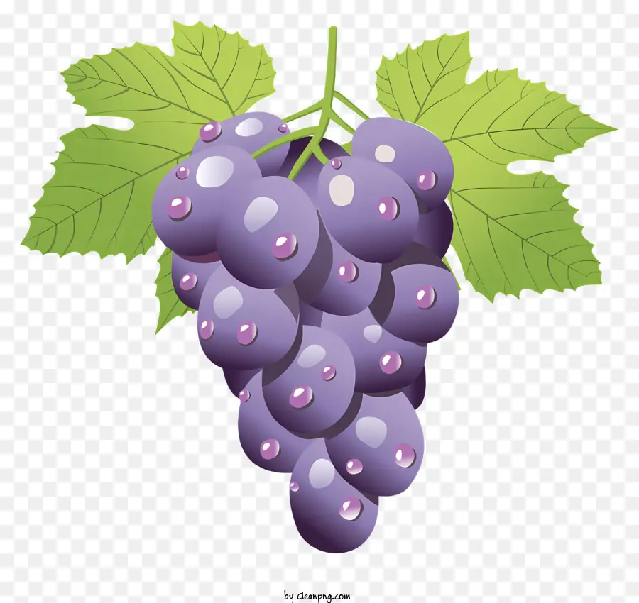 Uvas Roxas，Uvas Suculentas PNG