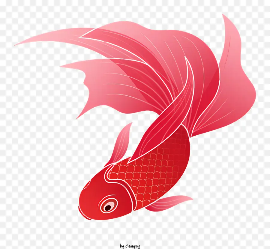Peixe Vermelho E Branco，Peixe De Boca Grande PNG