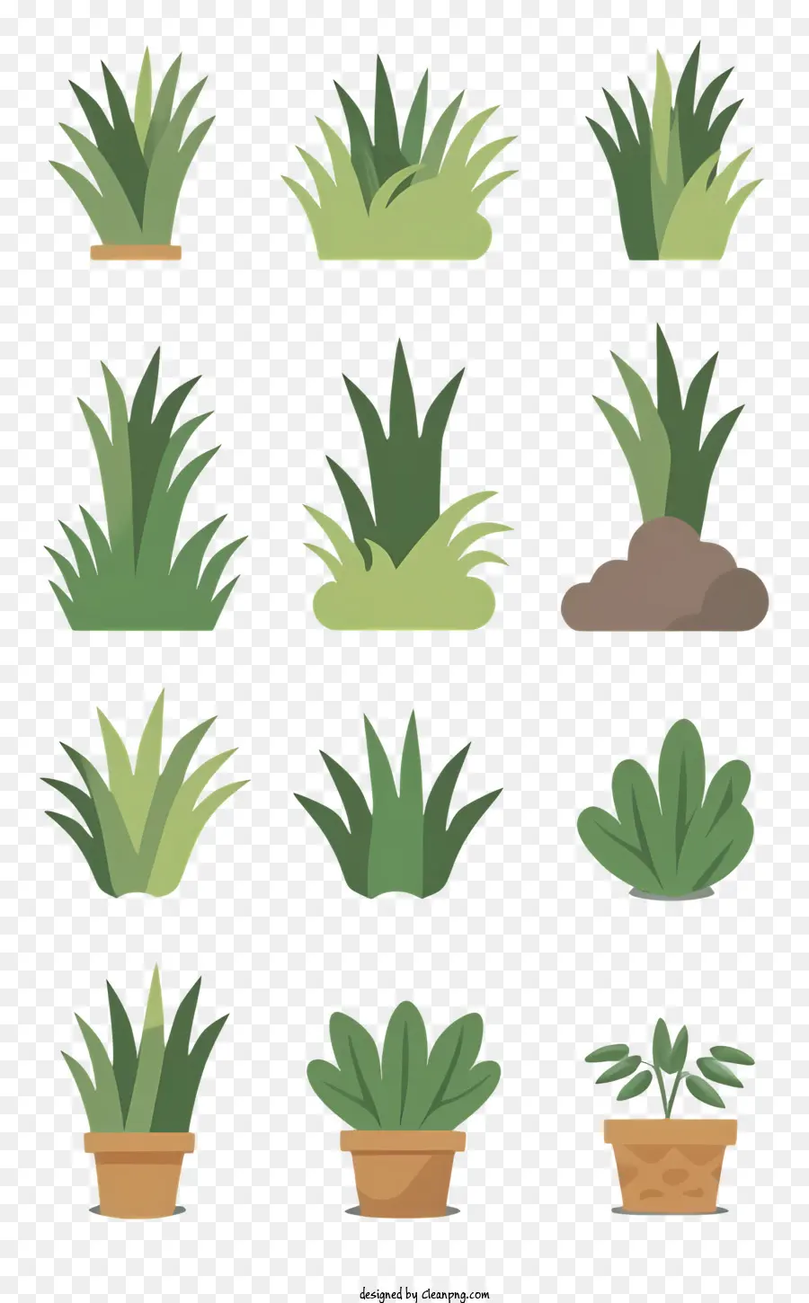 Plantas Verdes，Plantas Marrons PNG