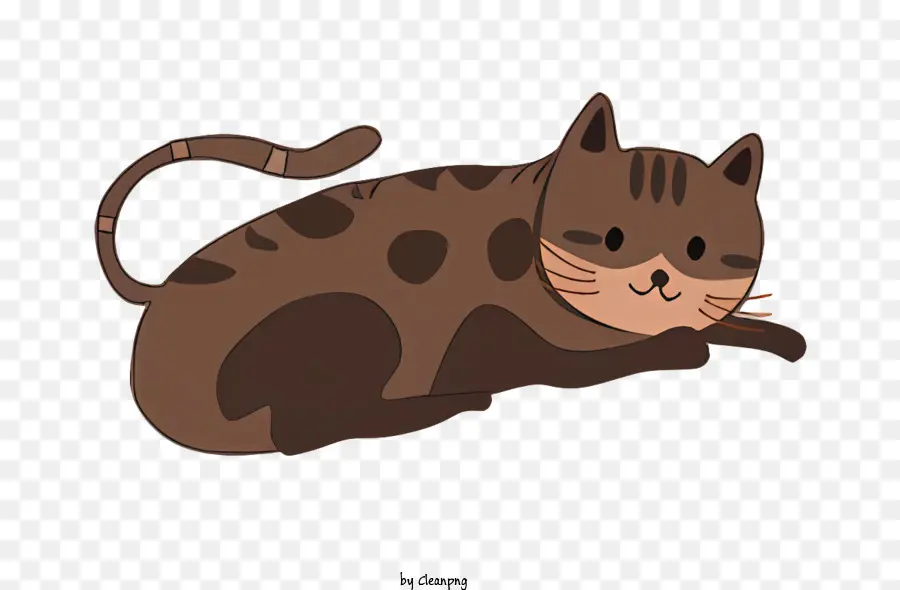 Gato，Marrom E Branco PNG