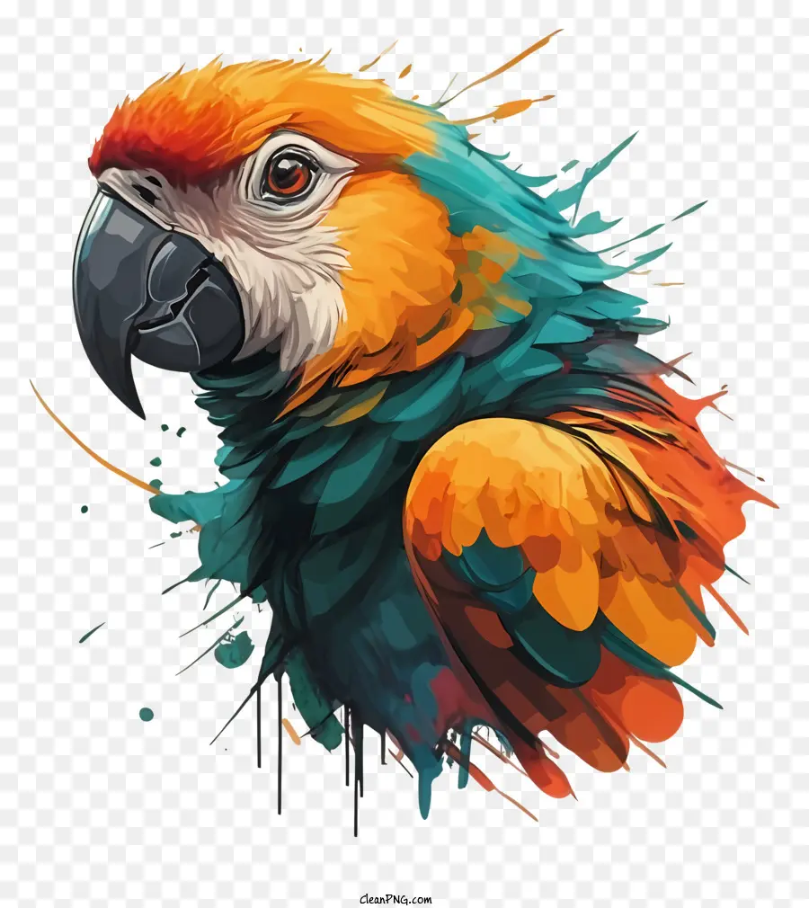 Papagaio，Pintura PNG