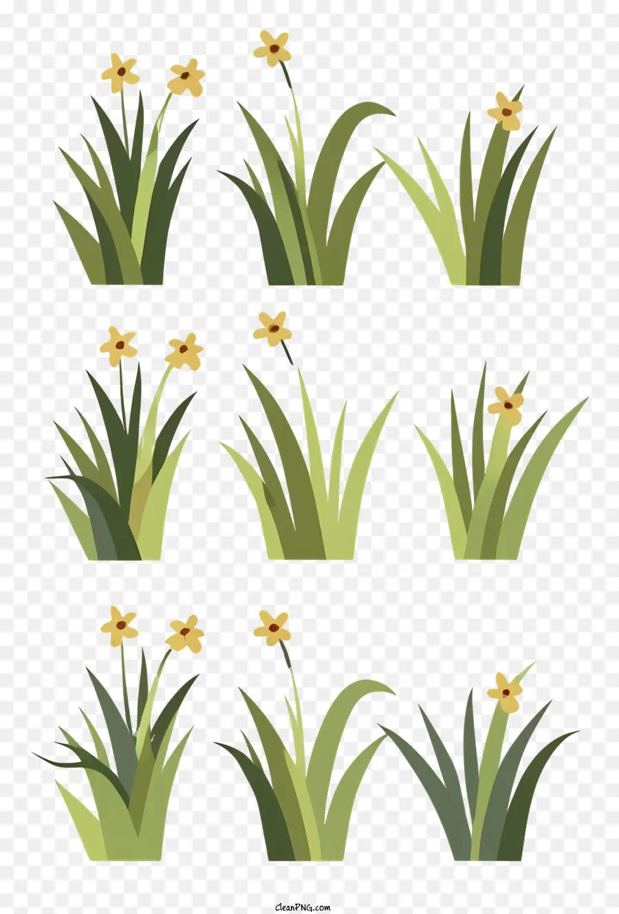 Narcisos，Flores PNG