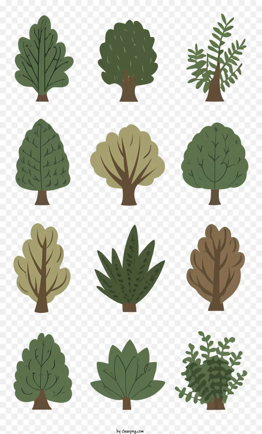 árvores，Deciduous PNG