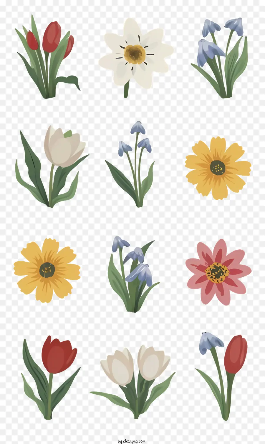 Flores，Narcisos PNG