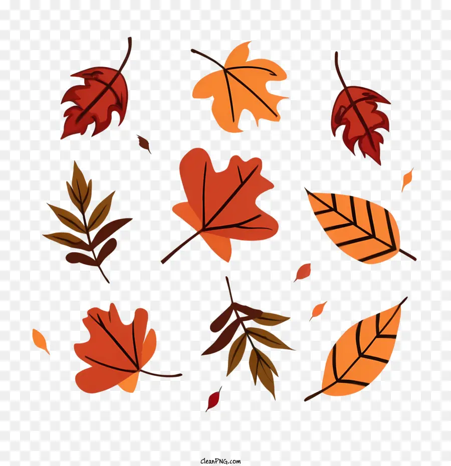 Autumn Leaves，Folhas De Outono PNG