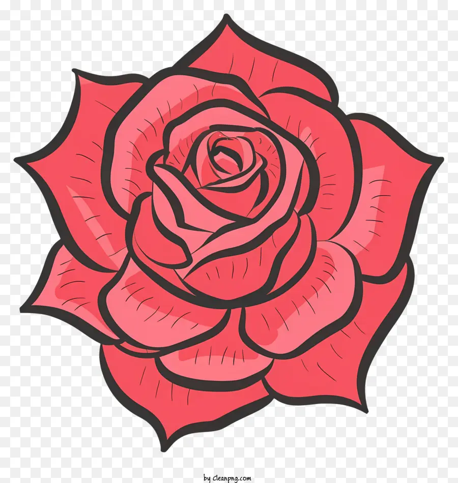 Rosa Vermelha，Flor PNG