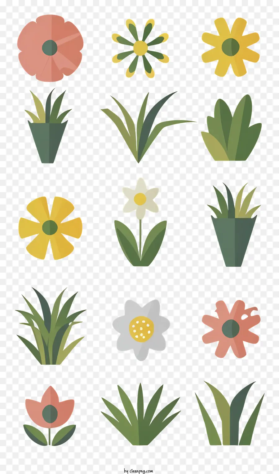 Coleção Flower，Vários Tipos De Flores PNG