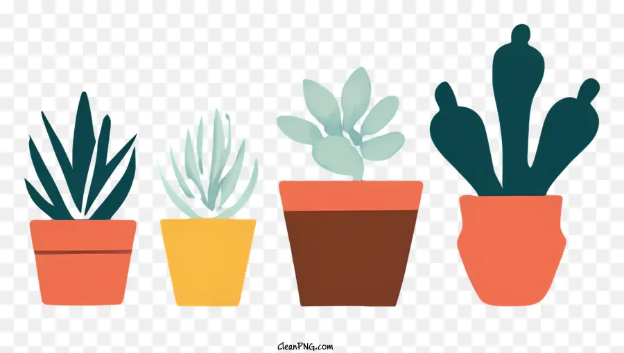 Plantas Suculentas，Vasos De Planta PNG