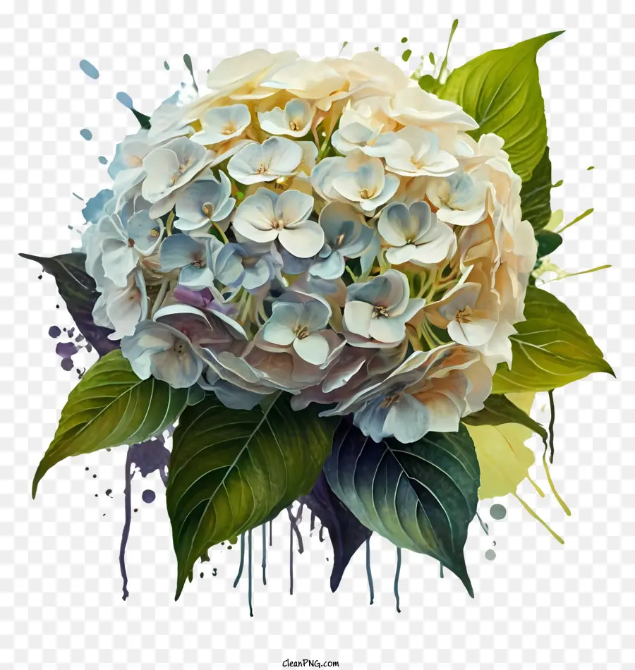 Pintura，Flor Branca PNG