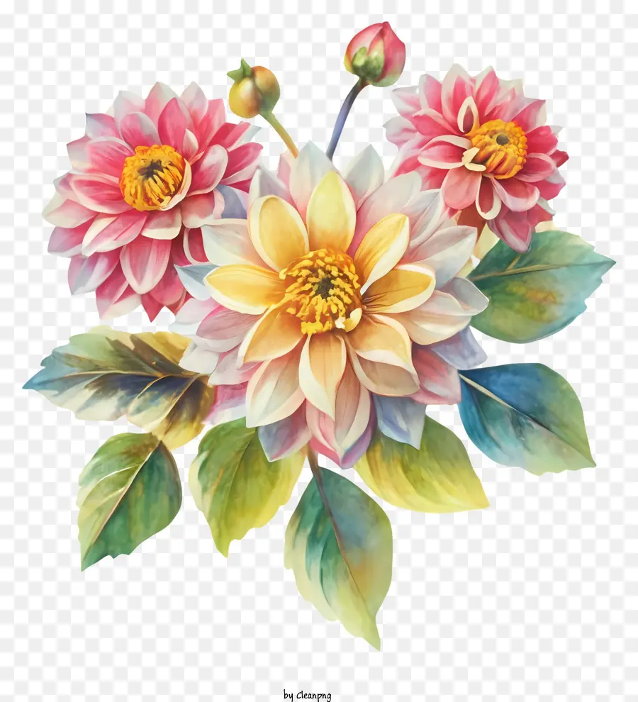 Pintura Em Aquarela，Flores Dahl PNG