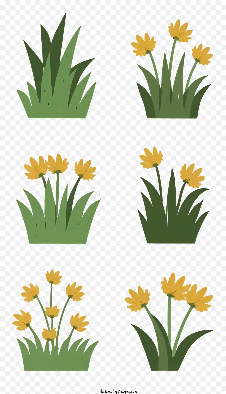 Flores，Tipos De Flores PNG