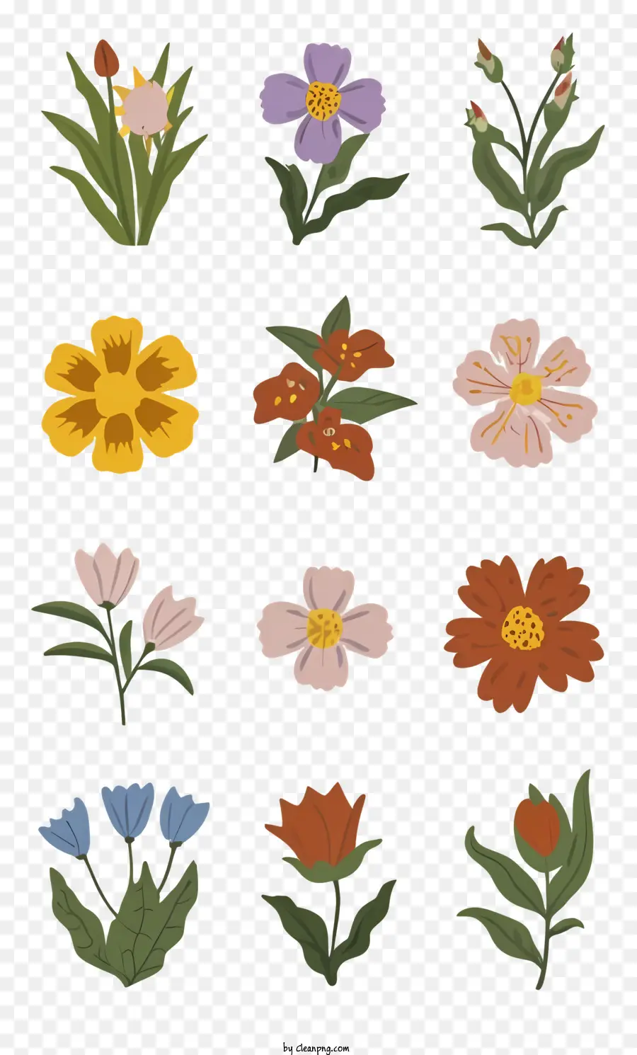 Floral Ilustrações，Vários Tipos De Flores PNG