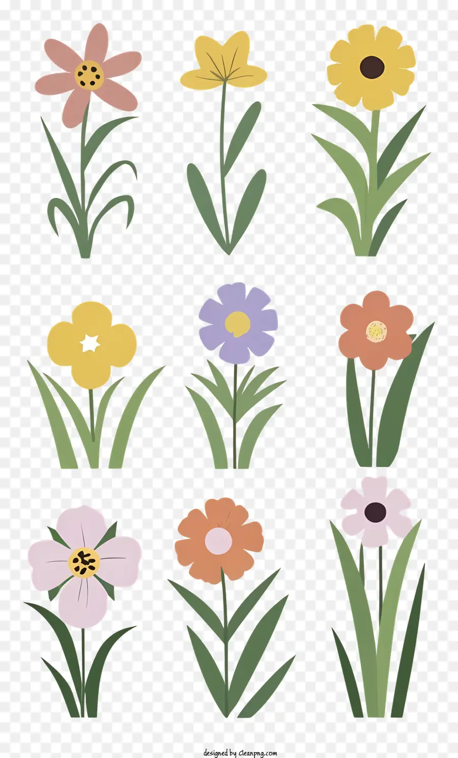 Flores，Floral Ilustrações PNG