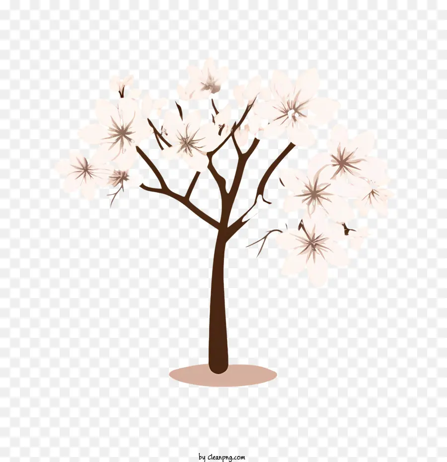 Flor De Cereja árvore，árvore PNG