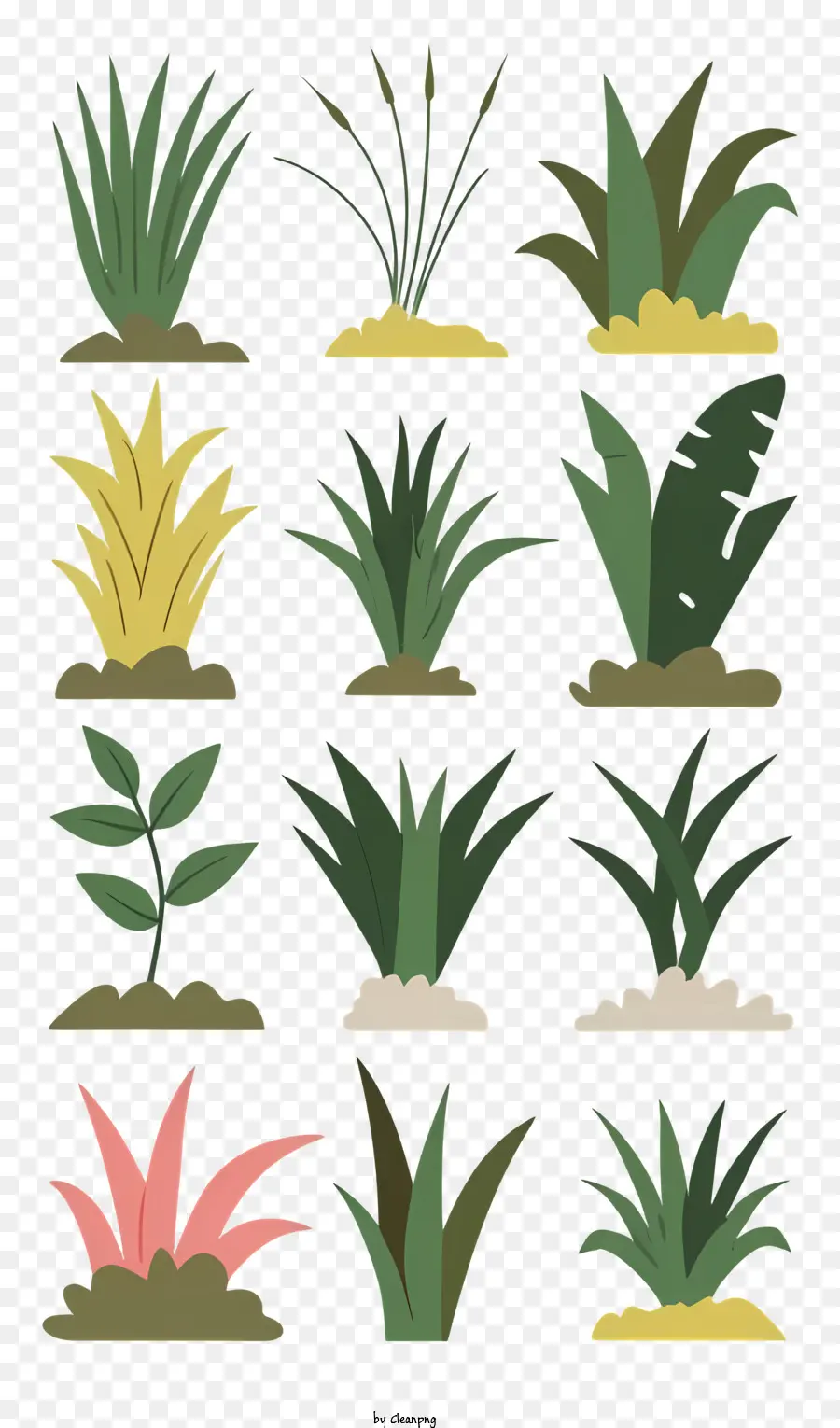 Plantas，Soil PNG