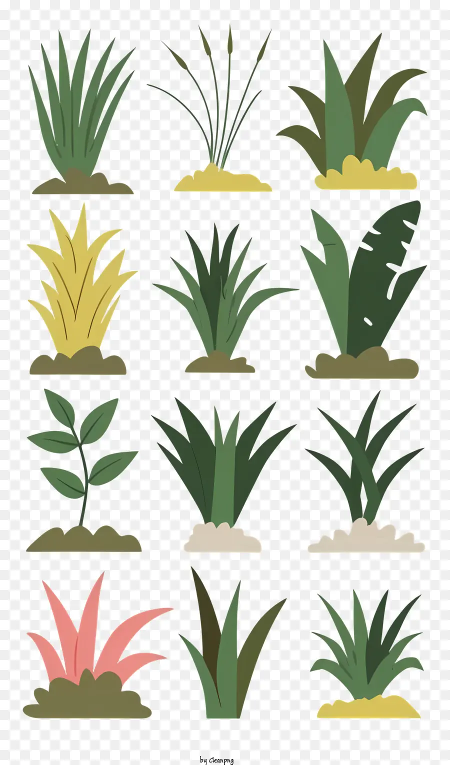 Plantas，Arbustos PNG