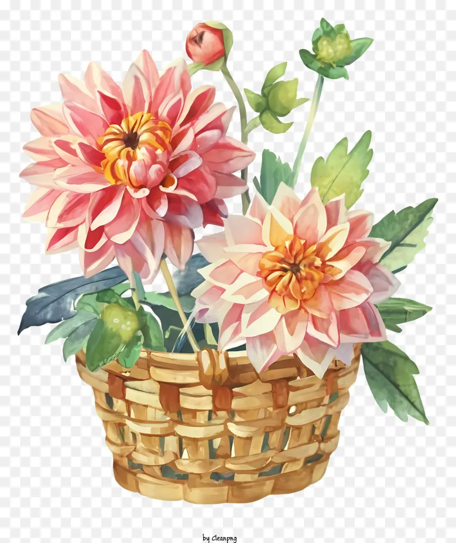 Cesta De Flores，Flores Em Um Balde PNG