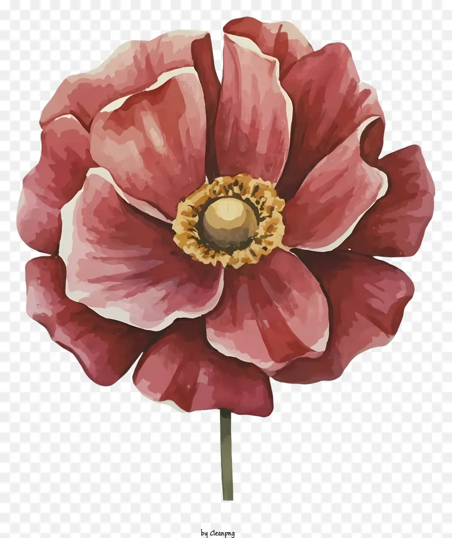 Pintura De Papoula Rosa，Flor Vermelha PNG