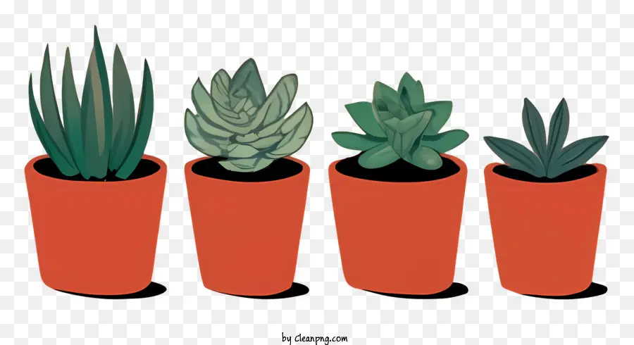 Vasos De Plantas，Plantas Vermelhas PNG