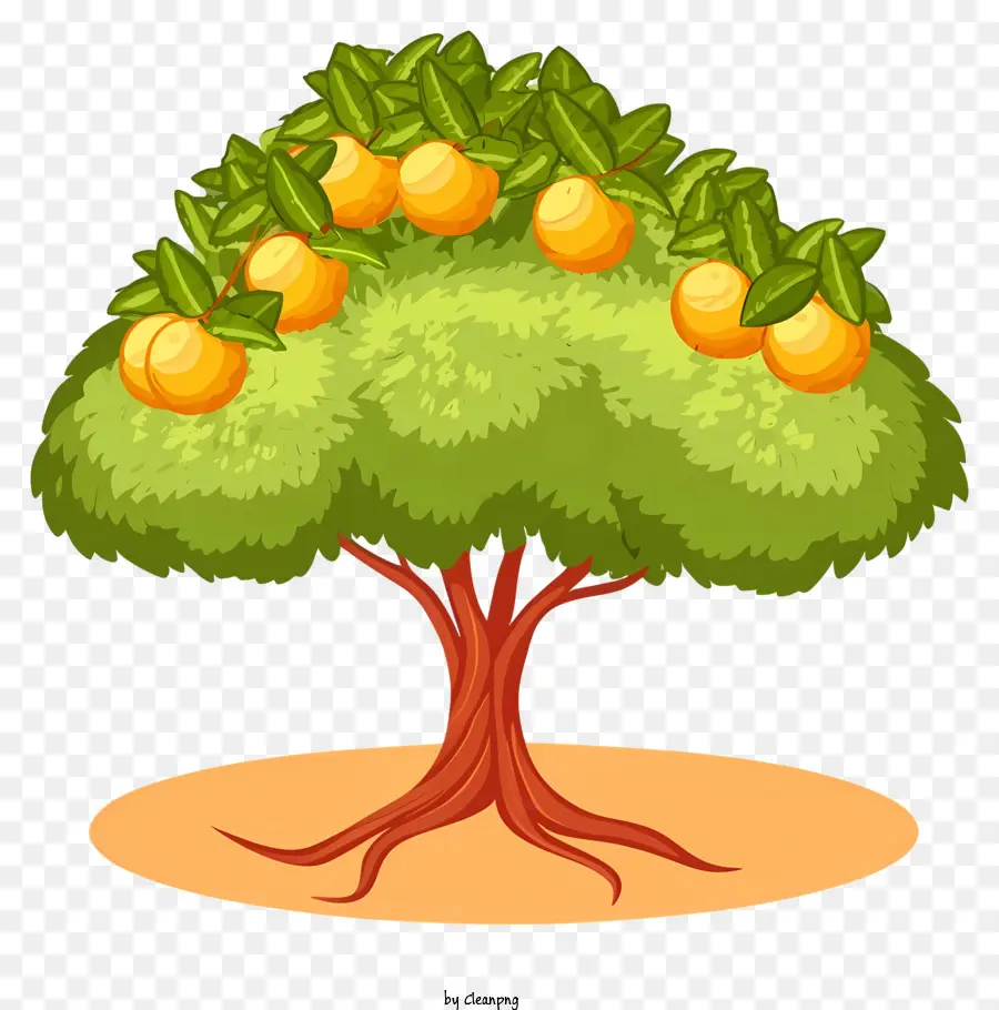 árvore De Fruto，Frutas Laranja PNG